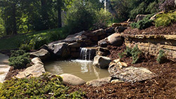 Pond Maintenance