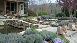 Pond Maintenance Asheville, NC