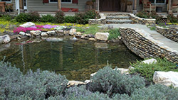 Pond Maintenance Asheville, NC