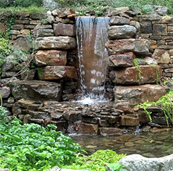 Ponds & Waterfalls